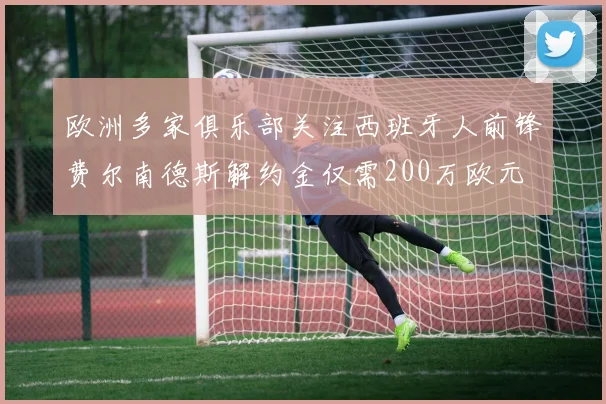 欧洲多家俱乐部关注西班牙人前锋费尔南德斯解约金仅需200万欧元